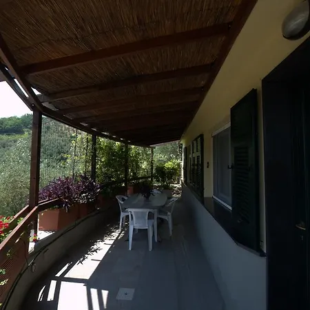 Casa Elena